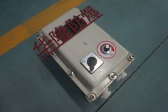 反應(yīng)釜專用防爆控制箱